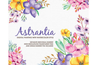 Astrantia Watercolor Floral Style Clipart