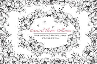 Black and White Botanical Collection: Timeless Design Assets for Creative Projects